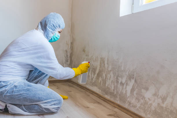Licensed Mold Testing service in Fort Lee, VA - WQB Mold Removal