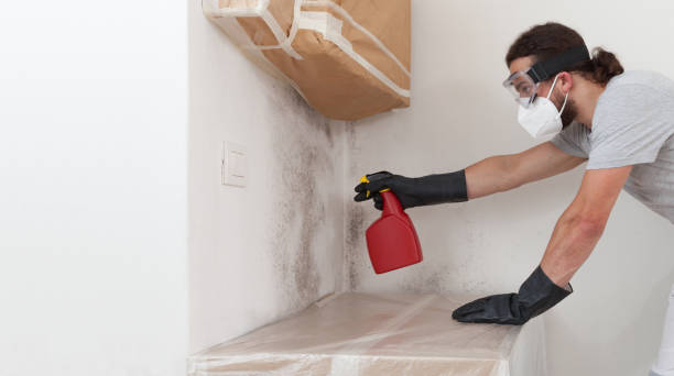 Professional Mold Testing technician working in Fort Lee, VA