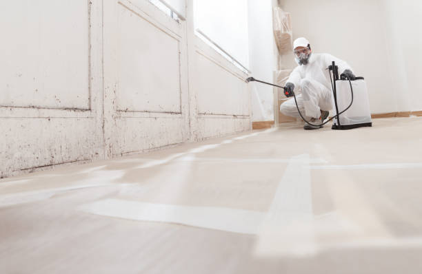 24/7 Emergency Mold Testing experts in Fort Lee, VA