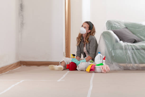 Reliable Mold Testing contractor in Fort Lee, VA by WQB Mold Removal