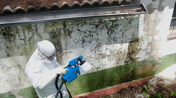 Top rated local Mold Testing specialists in Fort Lee, VA